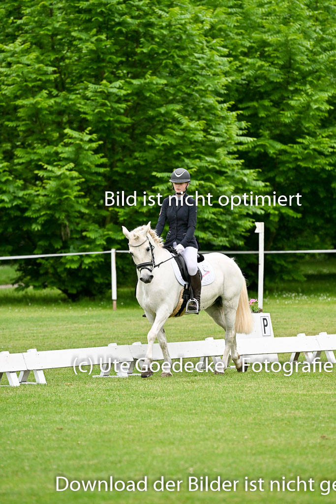 30052025-Dressur-241.jpg