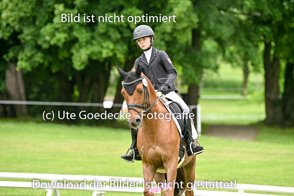  | 30052025 Dressur  (249) 