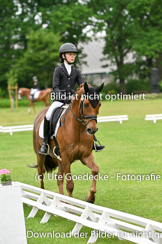  | 30052025 Dressur  (257) 
