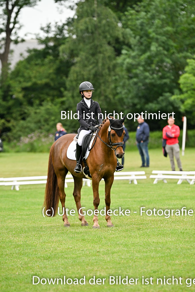 | 30052025 Dressur  (260) 