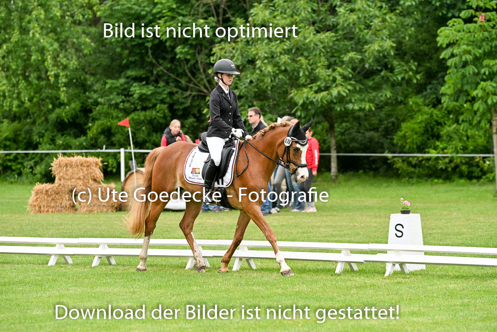  | 30052025 Dressur  (266) 
