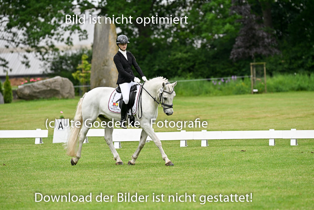  | 30052025 Dressur  (274) 