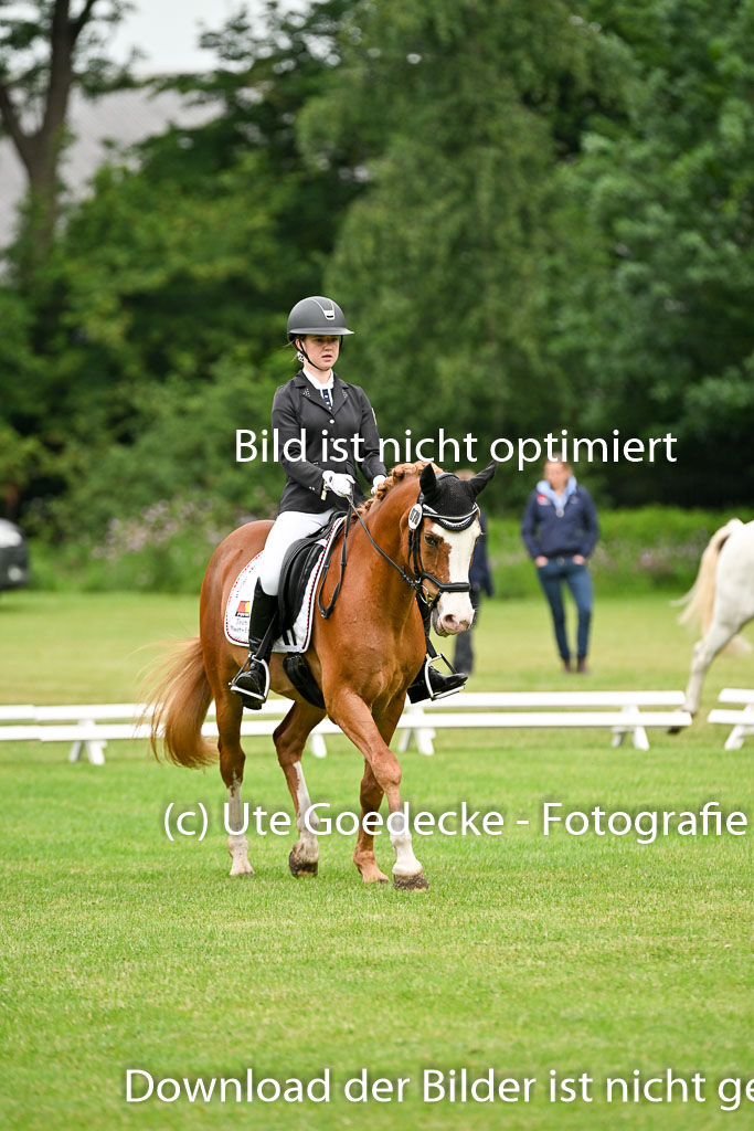  | 30052025 Dressur  (275) 
