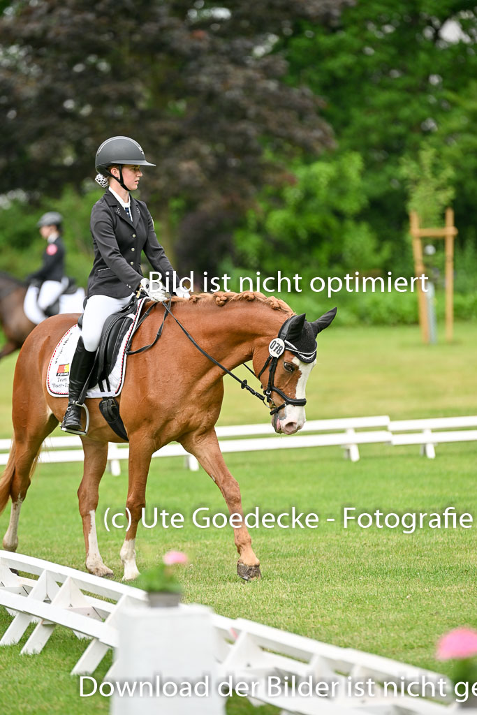  | 30052025 Dressur  (293) 