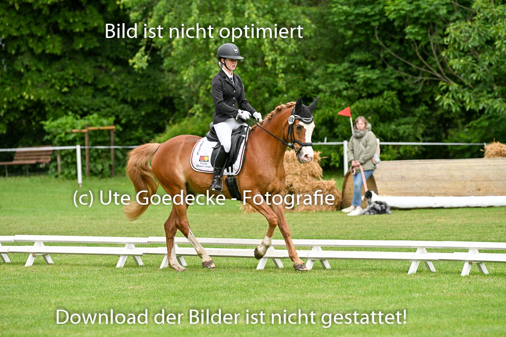 30052025-Dressur-302.jpg