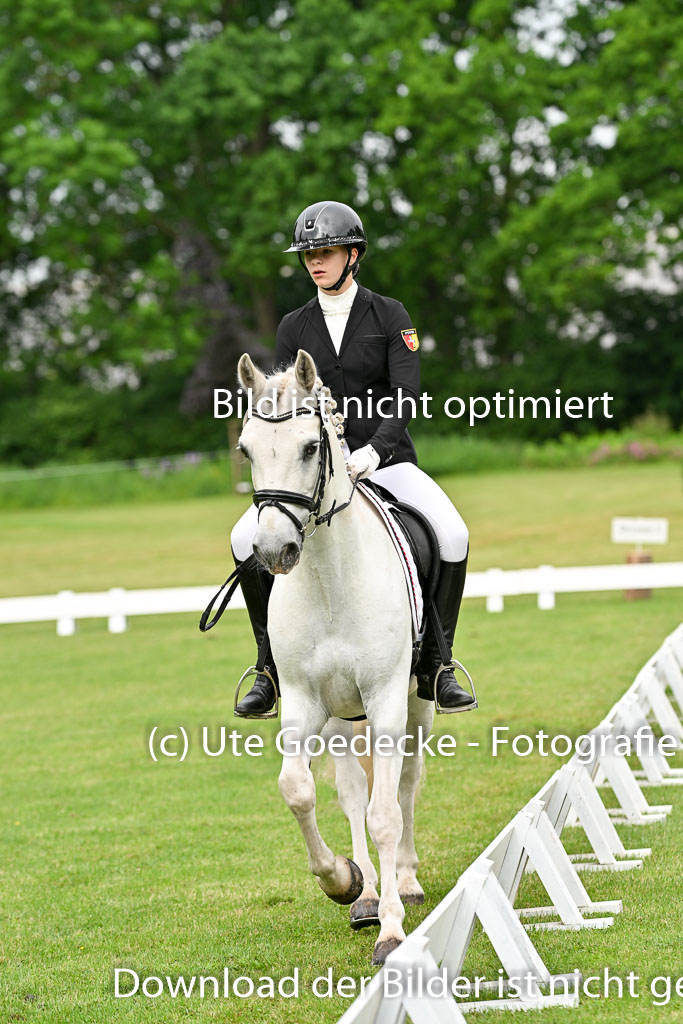  | 30052025 Dressur  (310) 