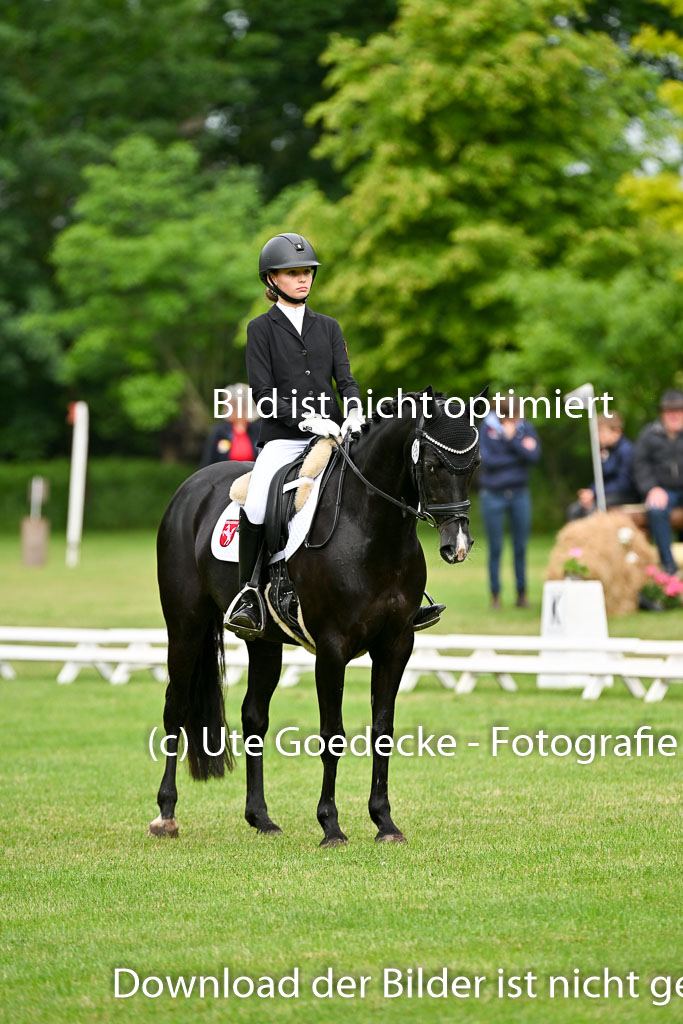  | 30052025 Dressur  (341) 