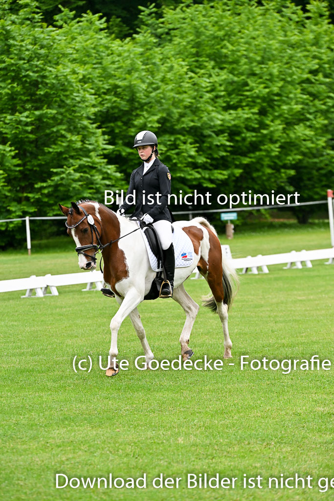  | 30052025 Dressur  (37) 