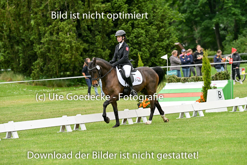 30052025-Dressur-376.jpg