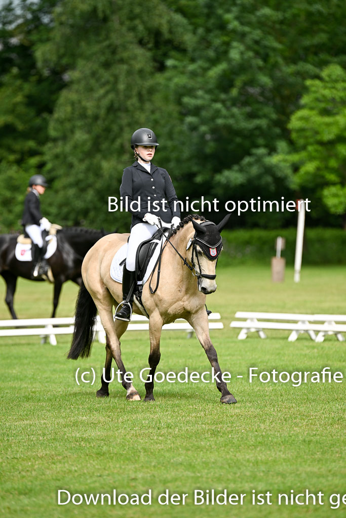  | 30052025 Dressur  (398) 