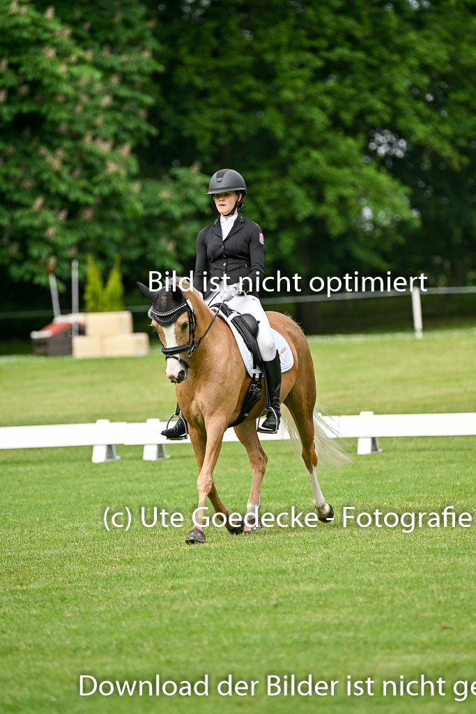  | 30052025 Dressur  (401) 