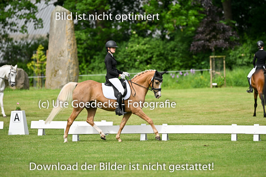  | 30052025 Dressur  (406) 