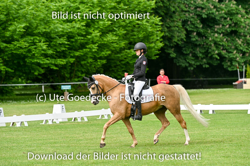  | 30052025 Dressur  (410) 