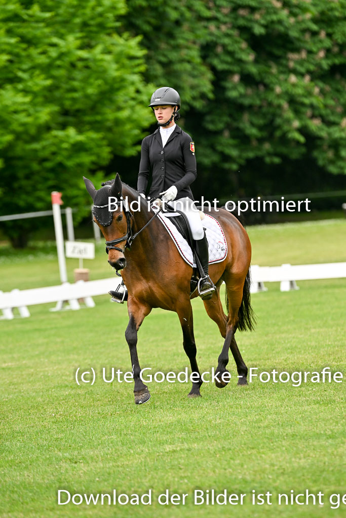  | 30052025 Dressur  (448) 