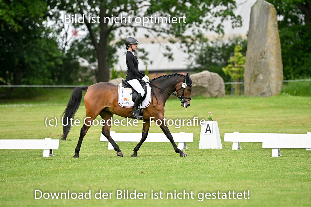  | 30052025 Dressur  (449) 