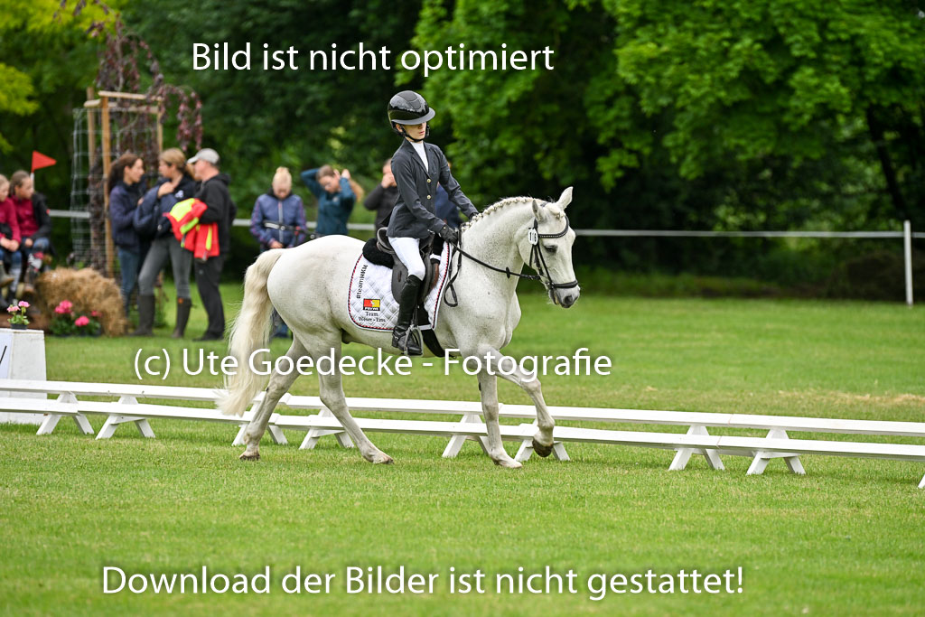 30052025-Dressur-461.jpg