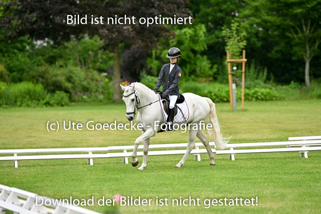  | 30052025 Dressur  (471) 