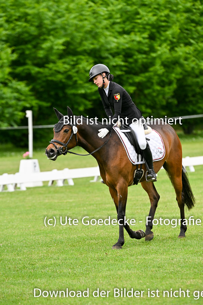  | 30052025 Dressur  (481) 
