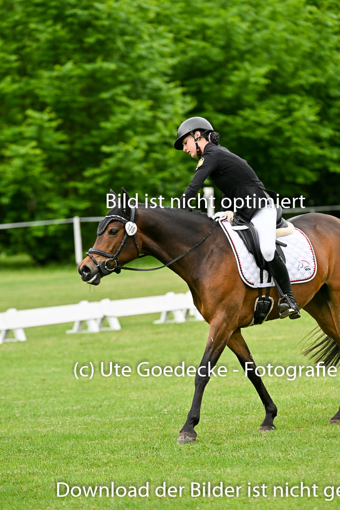  | 30052025 Dressur  (482) 