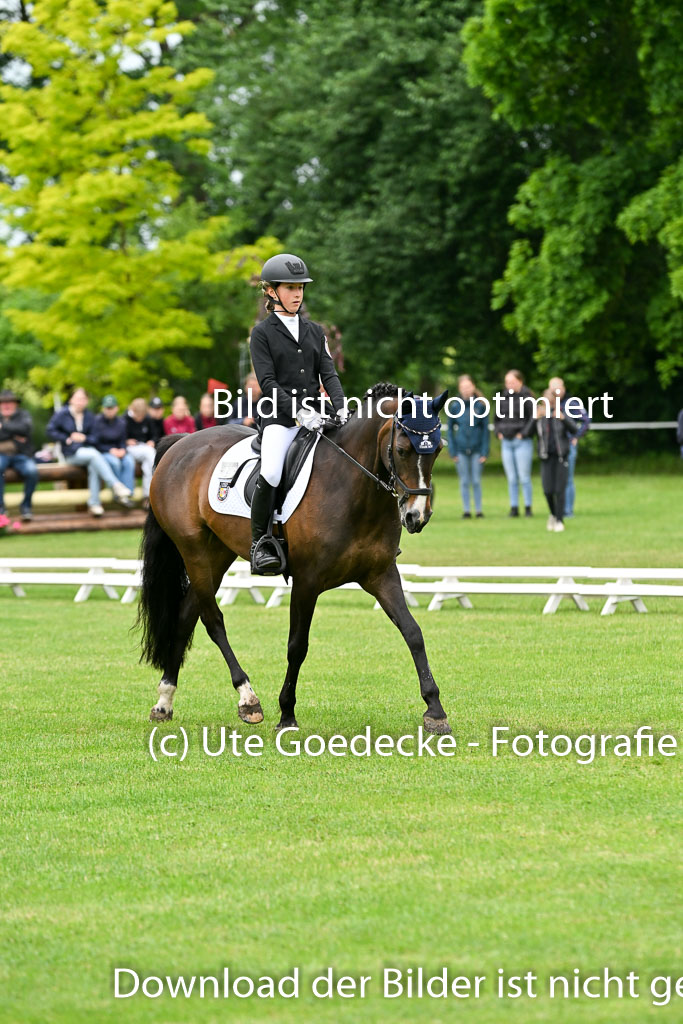  | 30052025 Dressur  (493) 