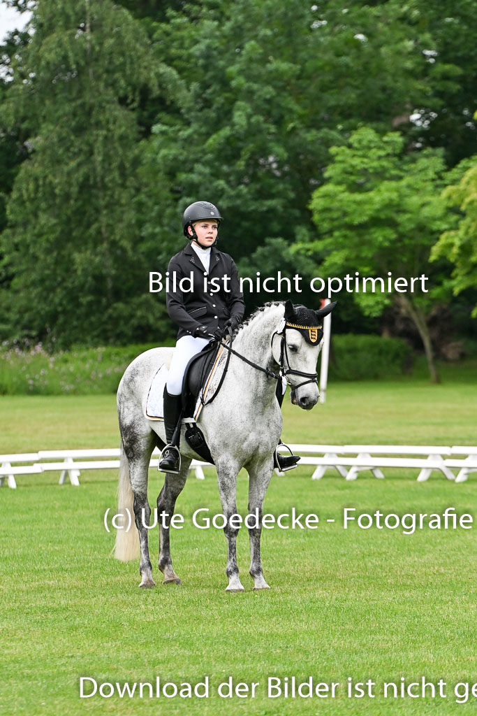  | 30052025 Dressur  (78) 