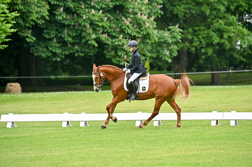  | 30052025 Dressur  (212) 