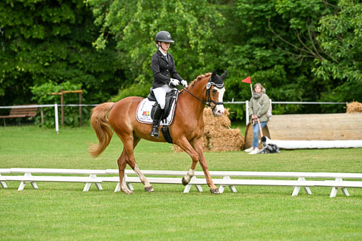 30052025-Dressur-302.jpg