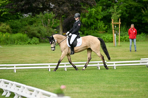  | 30052025 Dressur  (413) 