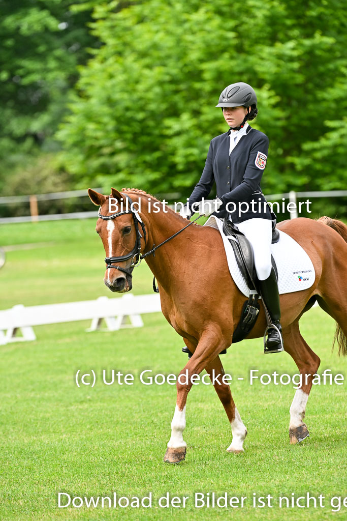 | 30052025 Dressur  (499) 