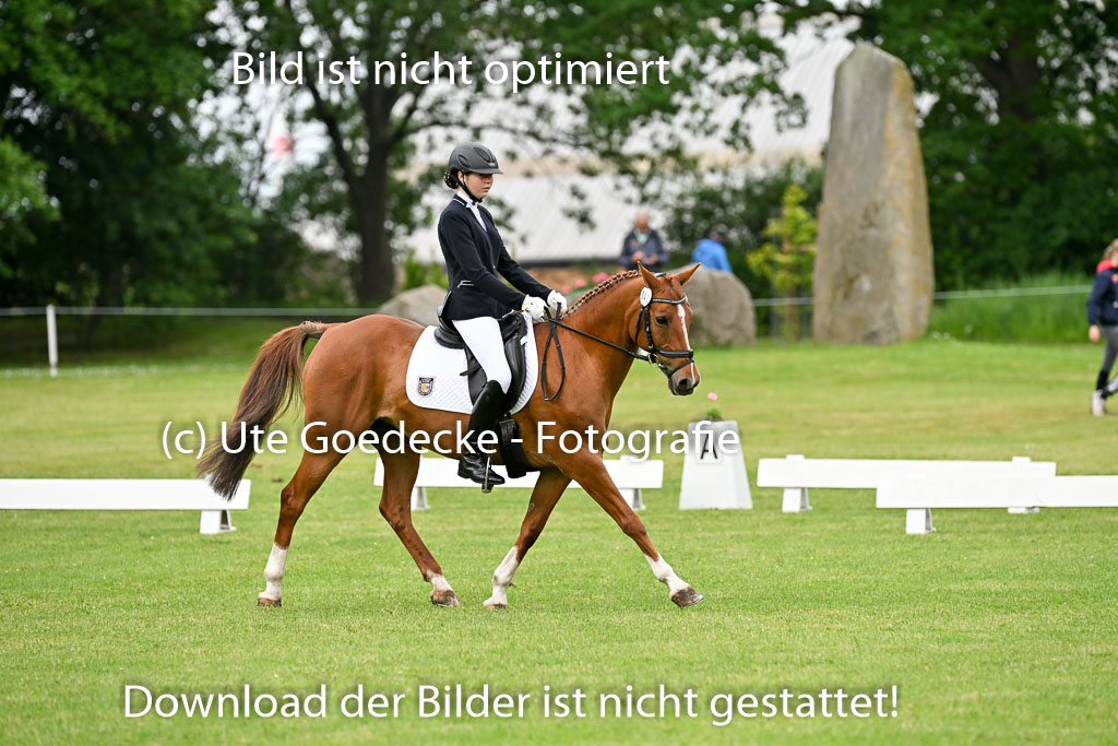  | 30052025 Dressur  (508) 