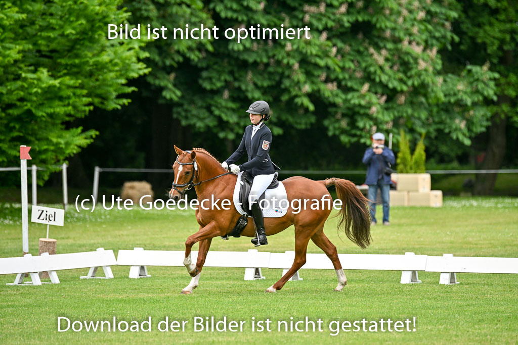  | 30052025 Dressur  (515) 