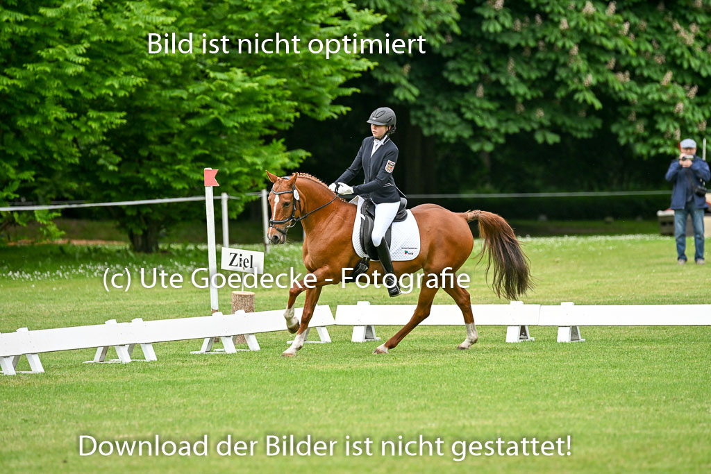  | 30052025 Dressur  (516) 