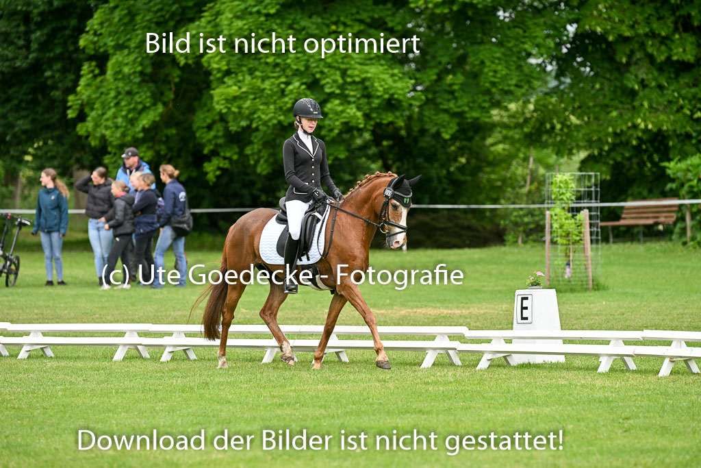  | 30052025 Dressur  (524) 