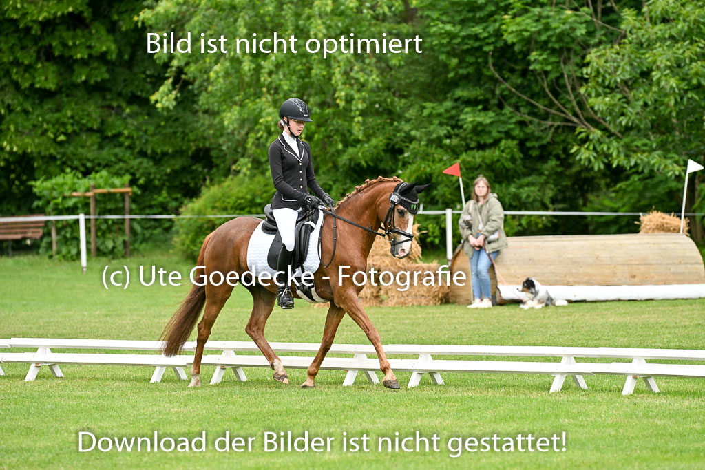  | 30052025 Dressur  (525) 
