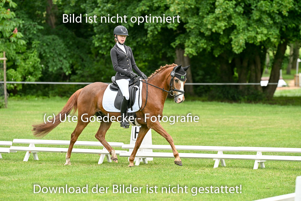  | 30052025 Dressur  (526) 