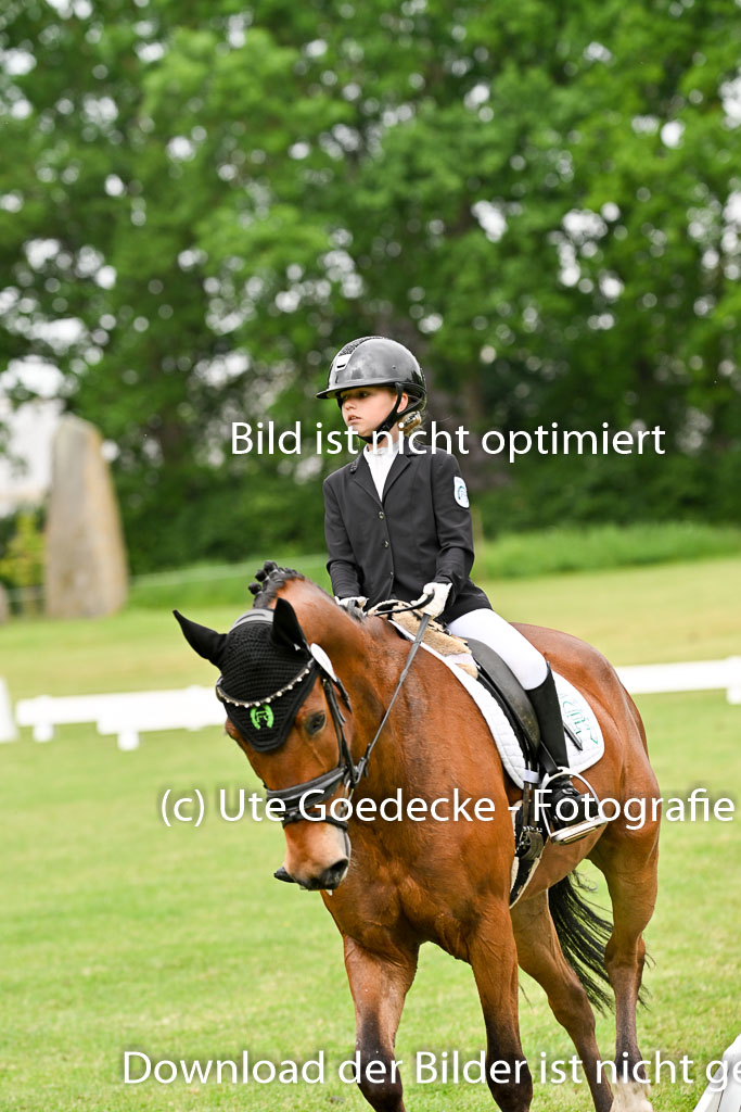  | 30052025 Dressur  (527) 