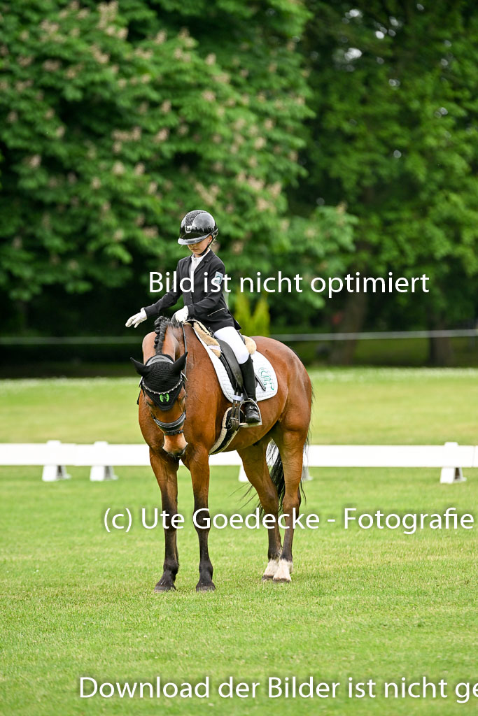  | 30052025 Dressur  (535) 