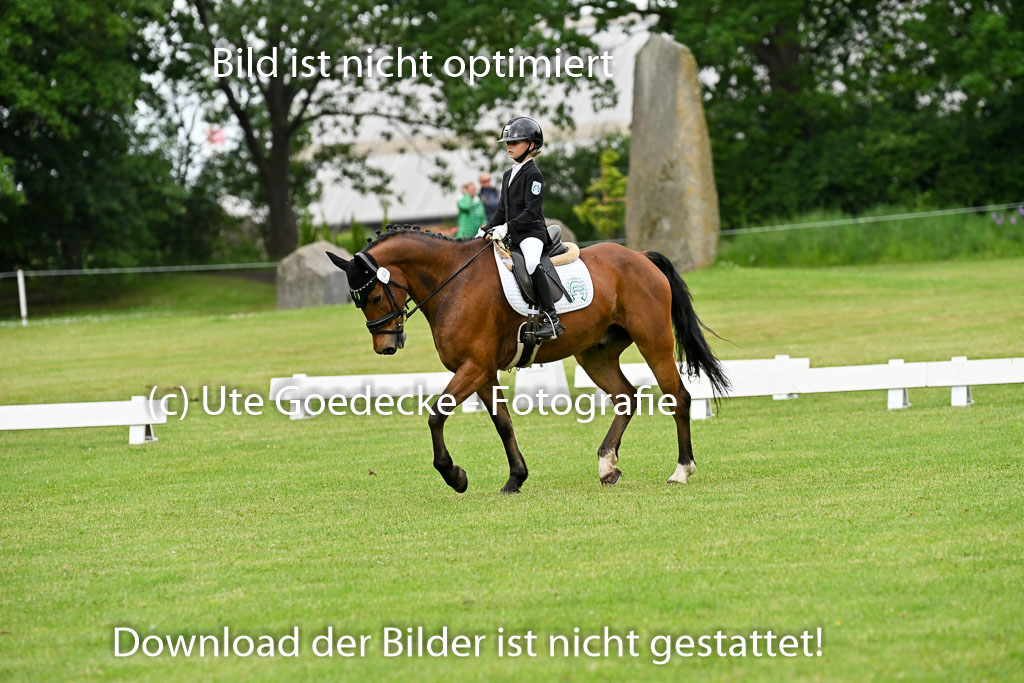  | 30052025 Dressur  (539) 