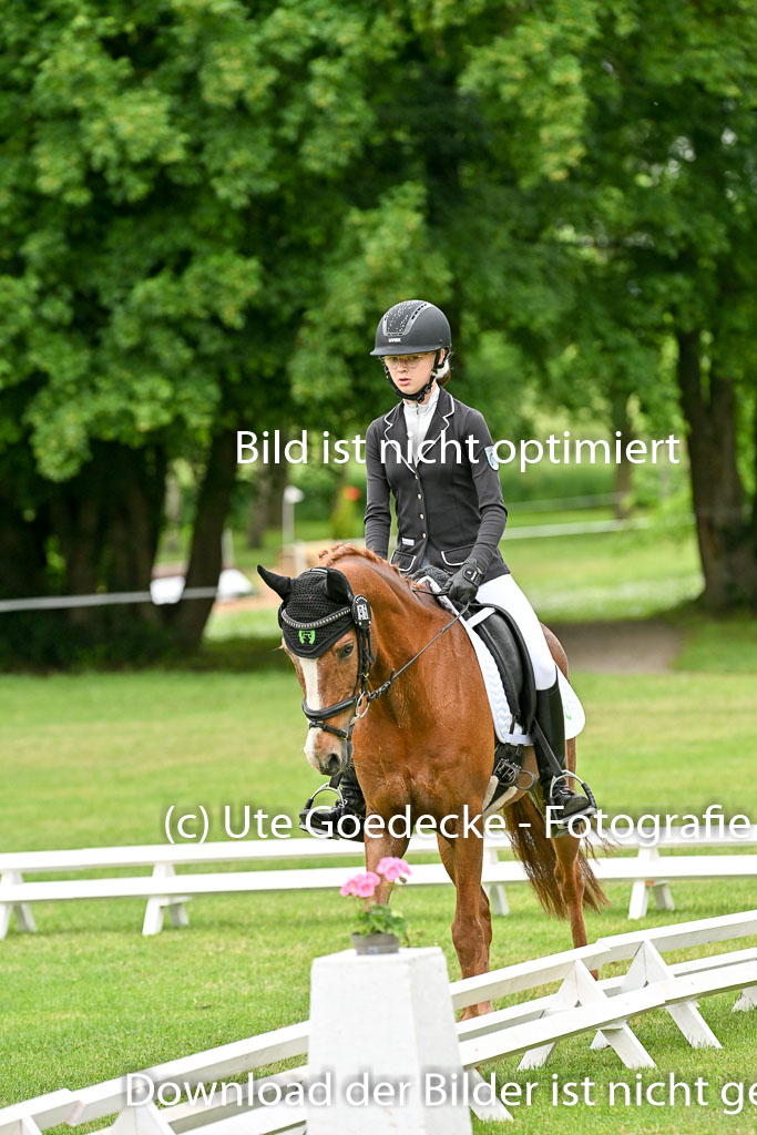 | 30052025 Dressur  (541) 