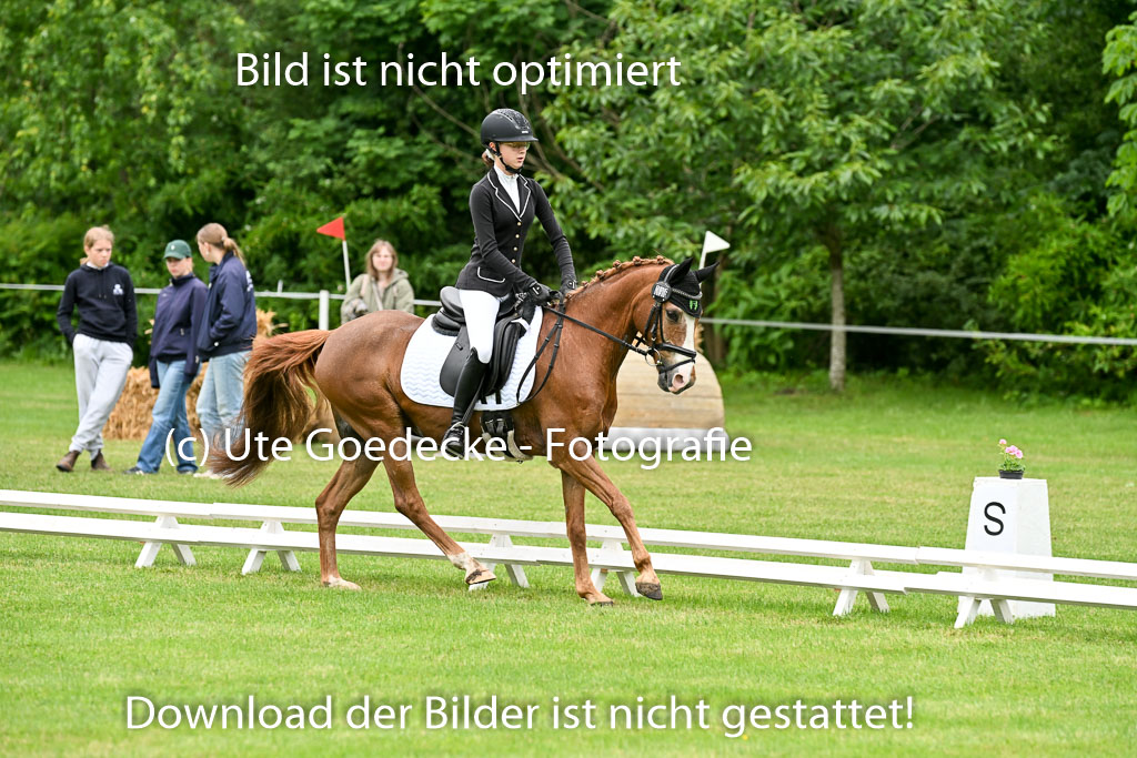  | 30052025 Dressur  (543) 