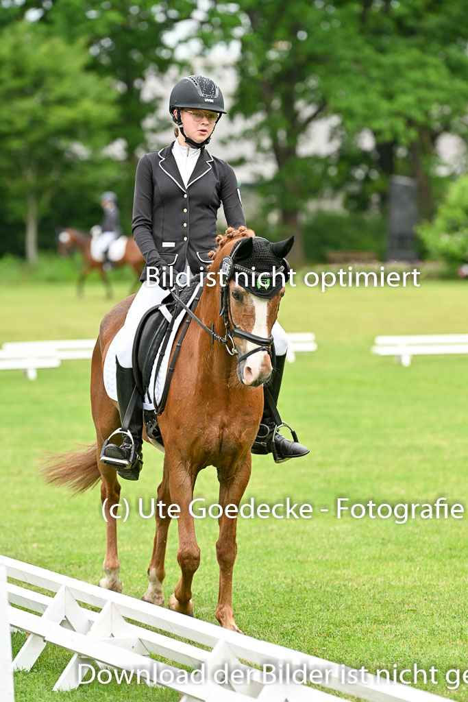  | 30052025 Dressur  (552) 