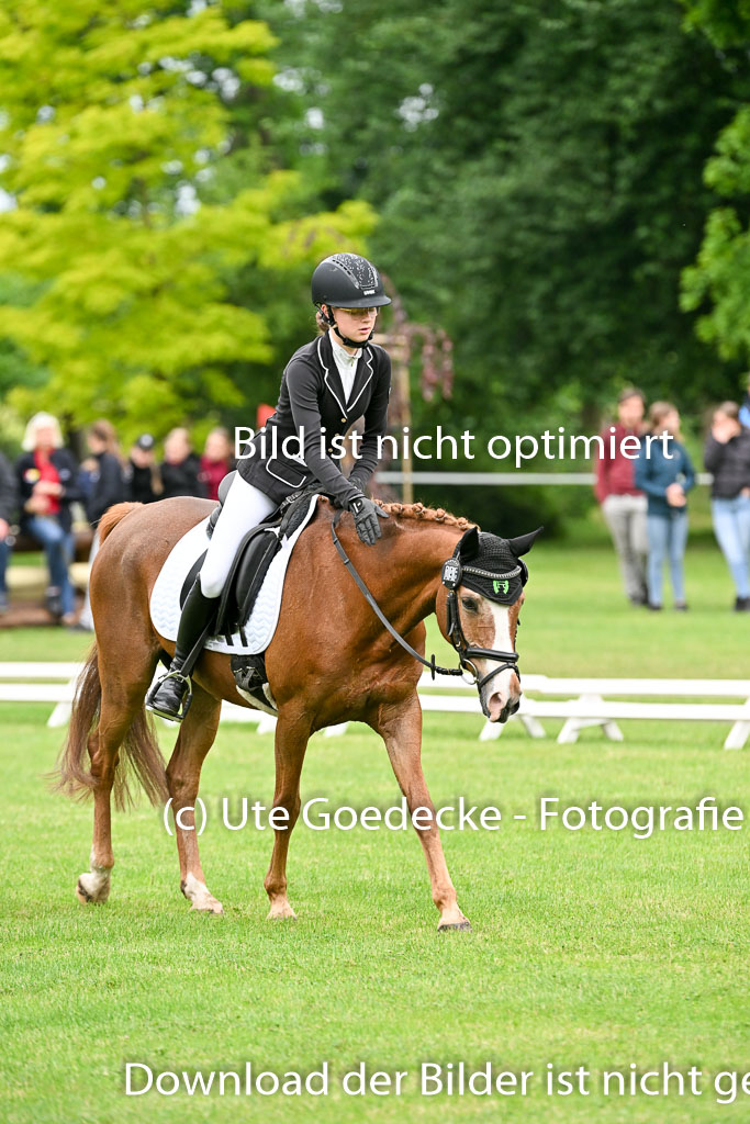  | 30052025 Dressur  (554) 