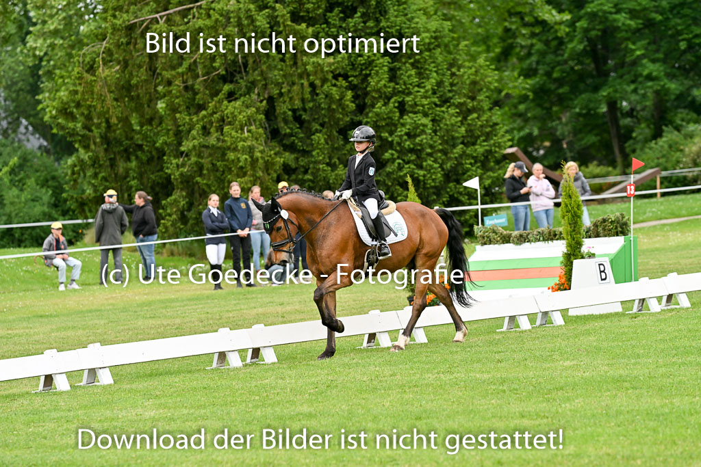  | 30052025 Dressur  (560) 