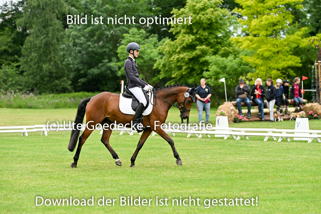  | 30052025 Dressur  (565) 