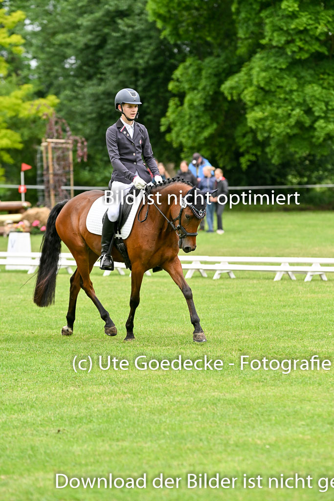  | 30052025 Dressur  (569) 