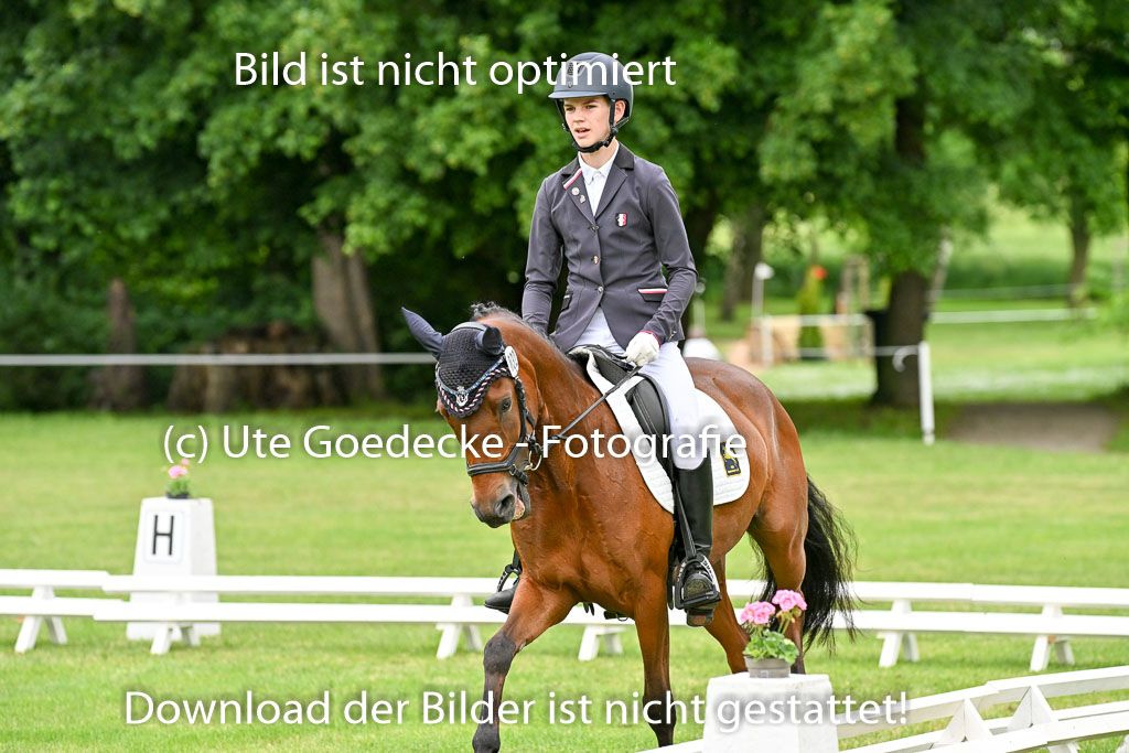  | 30052025 Dressur  (586) 