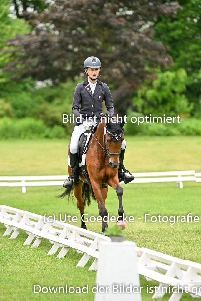  | 30052025 Dressur  (592) 