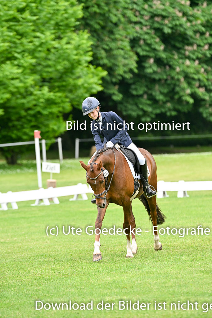  | 30052025 Dressur  (602) 