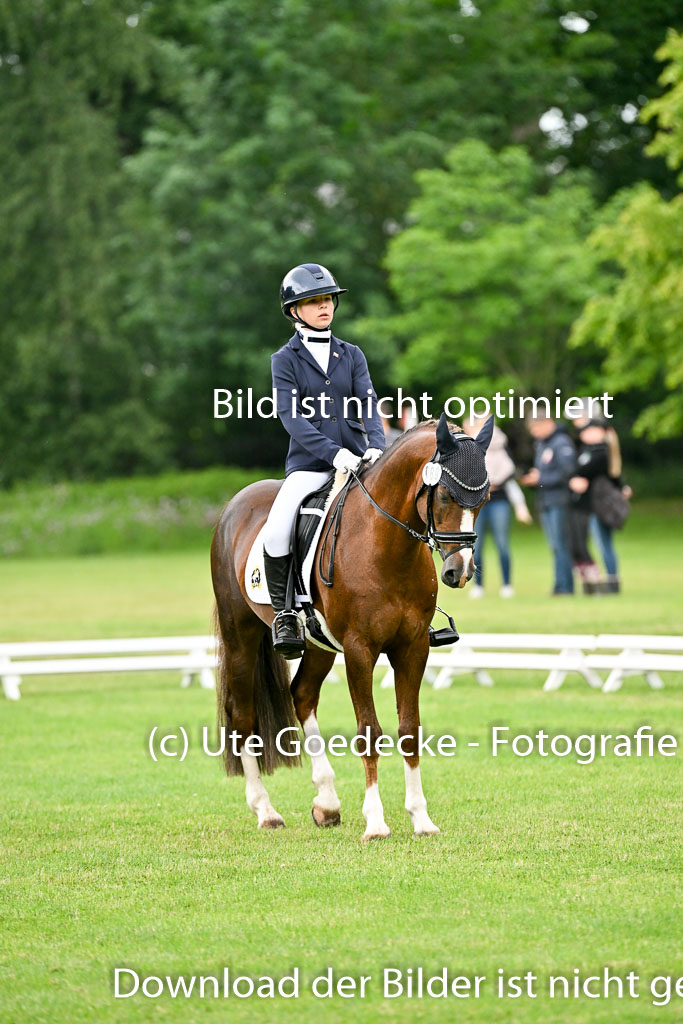  | 30052025 Dressur  (608) 