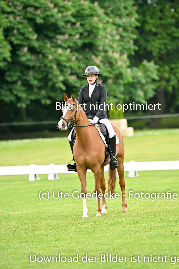  | 30052025 Dressur  (610) 